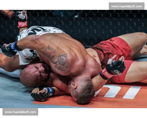 菲多vs凯恩世纪对决力量技巧与意志的巅峰碰撞全面解析史诗前瞻